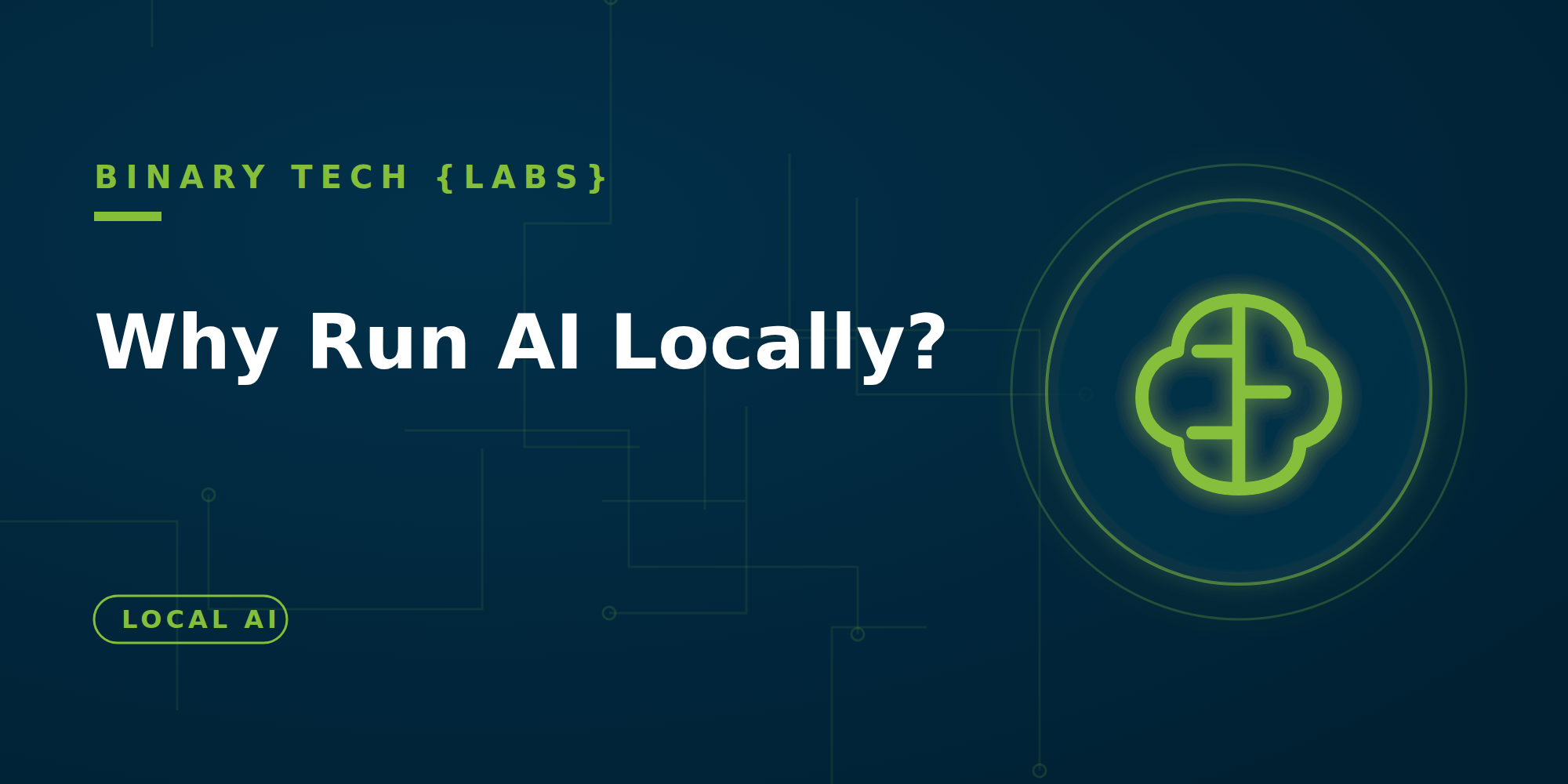 Why Run AI Locally?